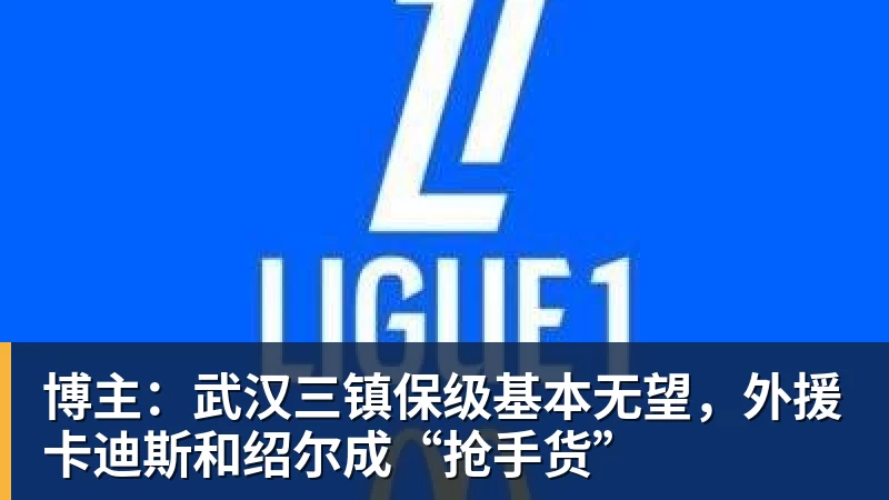 MK体育博主：武汉三镇保级基本无望，外援卡迪斯和绍尔成“抢手货”