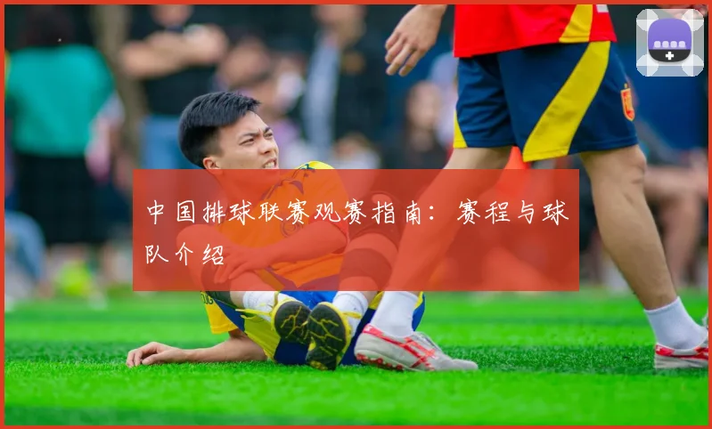 MK体育
